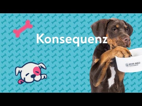 Konsequenz bei der Erziehung