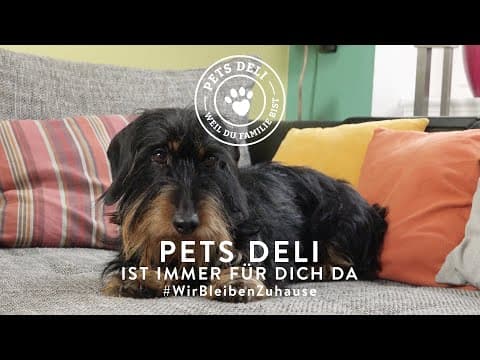 Nur nicht die Fellnase hängen lassen