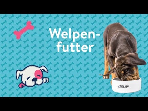 Das 1x1 der gesunden Welpenernährung