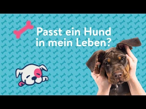 Ein eigener Hund - ja oder nein? 