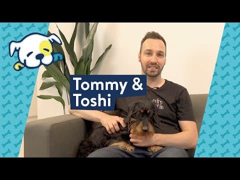 Die Puppy Story von Tommy & Dackel Toshi 